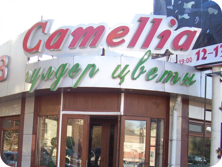 Магазин цветов "Camellia", Кызылорда